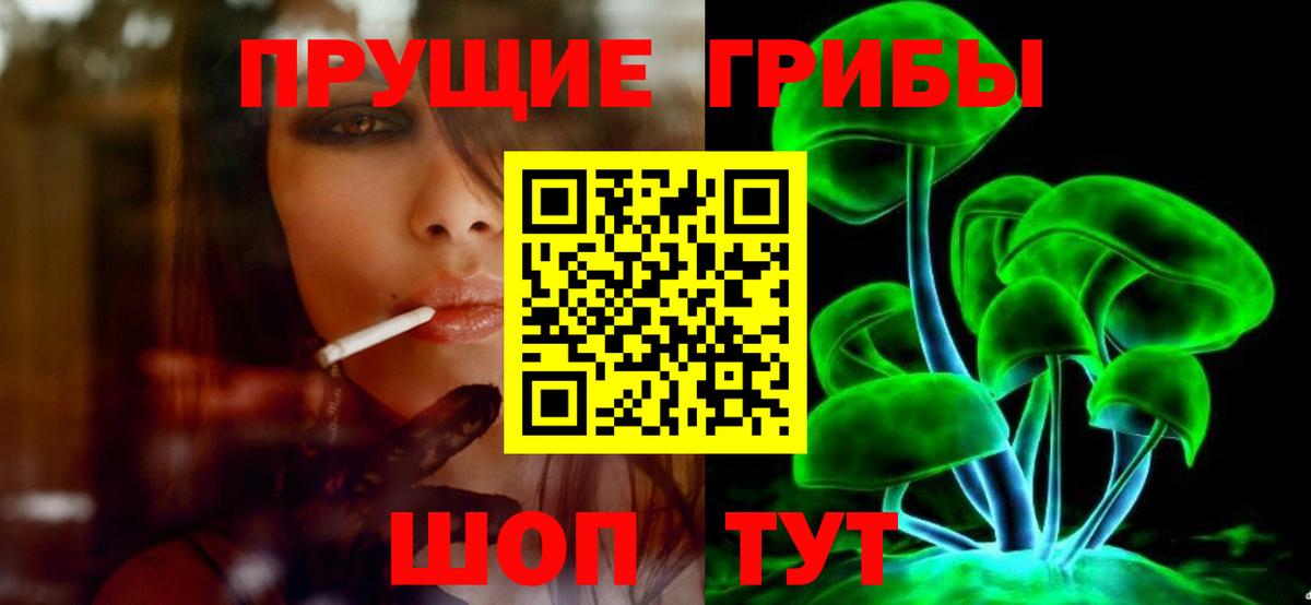 Галлюциногенные грибы Magic Shrooms Котовск