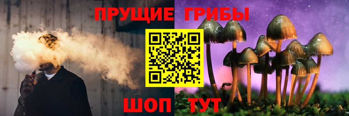 Галлюциногенные грибы Cubensis  Вход с VPN  цена наркотик  Псилоцибиновые грибы Psilocybe  Котовск 